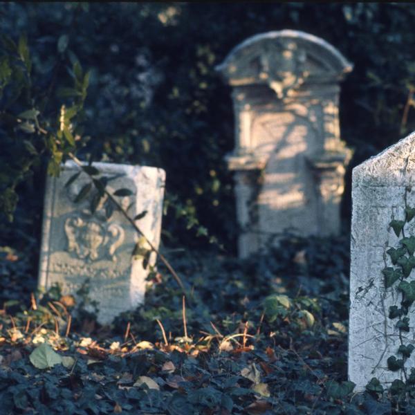 Antico Cimitero del Lido di Venezia