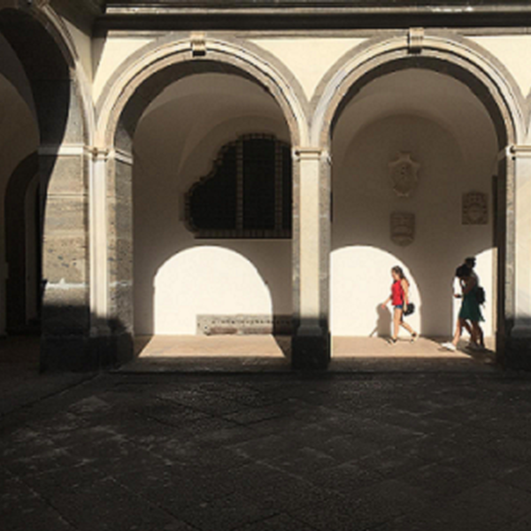 Certosa e Museo di San Martino