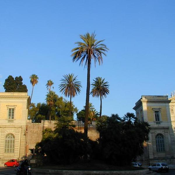 Villa Aldobrandini di Roma