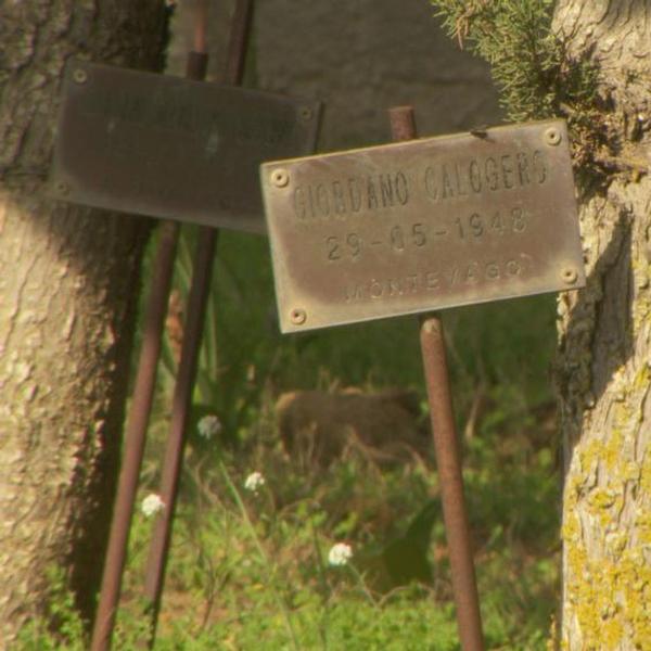 Entroterra e bosco del Magaggiaro - Aree naturalistiche - Menfi