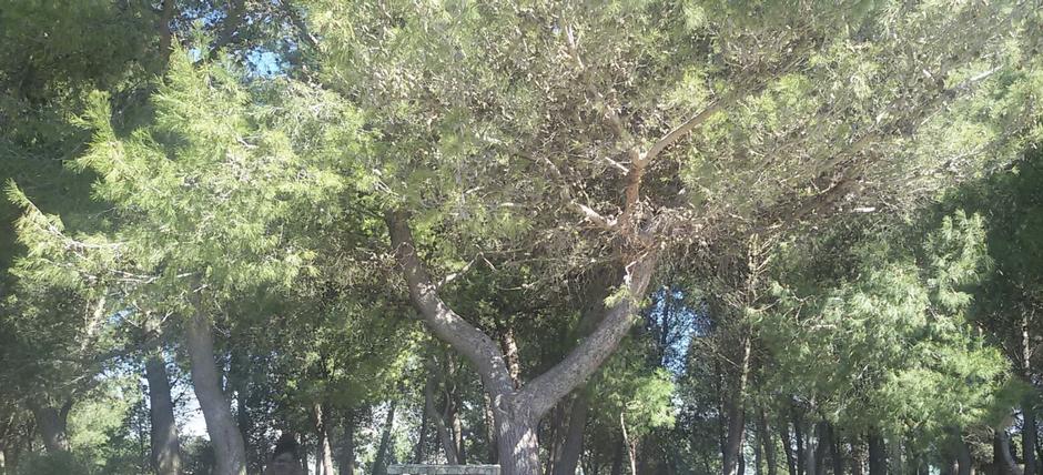 Riserva Naturale Monte Kronio e Antiquarium