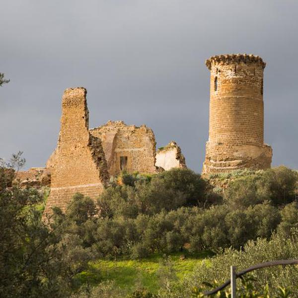 Castello di Poggio Diana - Castello - Ribera