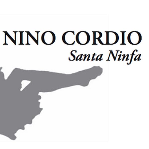 Museo Nino Cordio - Musei - Santa Ninfa