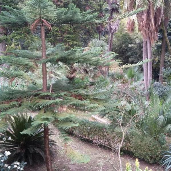 Villa del Gattopardo - Aree naturalistiche - Santa Margherita di Belice