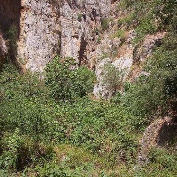 Gole della Tardara - Aree naturalistiche - Sambuca di Sicilia