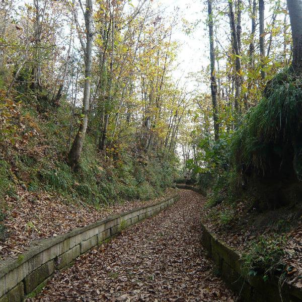 Parco Urbano dei Camaldoli