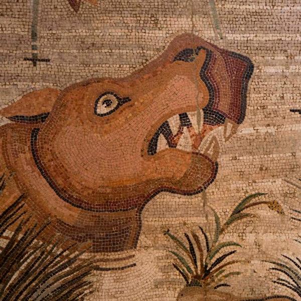 Sezione Mosaici