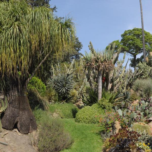 Orto Botanico di Napoli