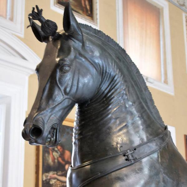 Cavallo Mazzocchi