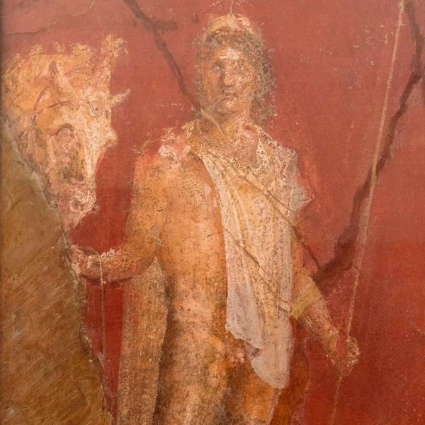 Dioscuri