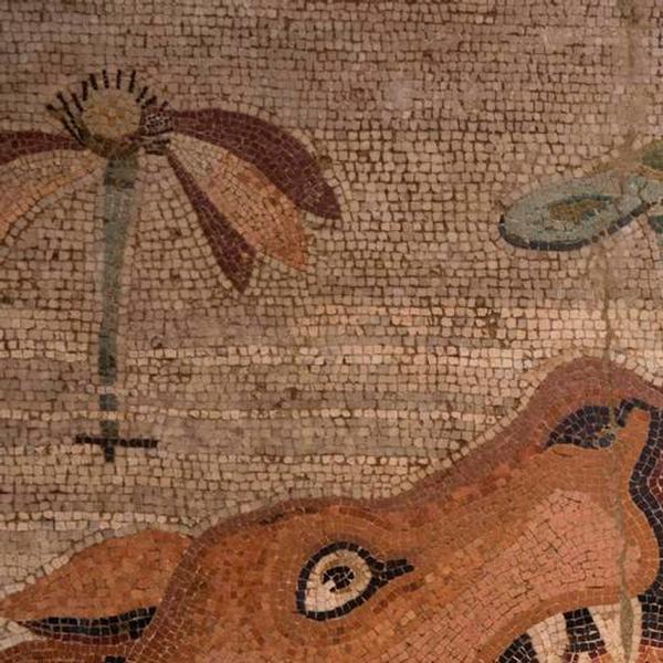 Mosaico nilotico dalla Casa del Fauno 