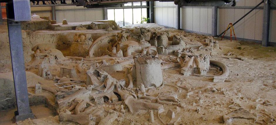 La Polledrara di Cecanibbio, Roma, Aree Archeologiche - Biglietteria, Orari