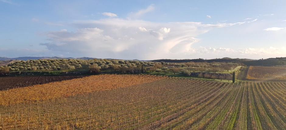 Cantina e Vigneti Baglio del Cristo di Campobello
