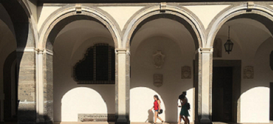 Certosa e Museo di San Martino
