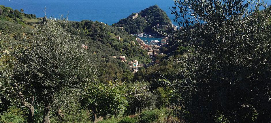 Parco di Portofino